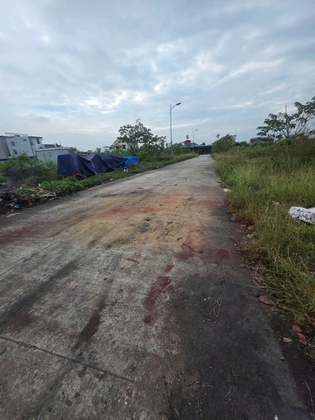 A568 - ô 36. A6 - QH Hoa nhàn C - Bí trung 1 - Phương Đông