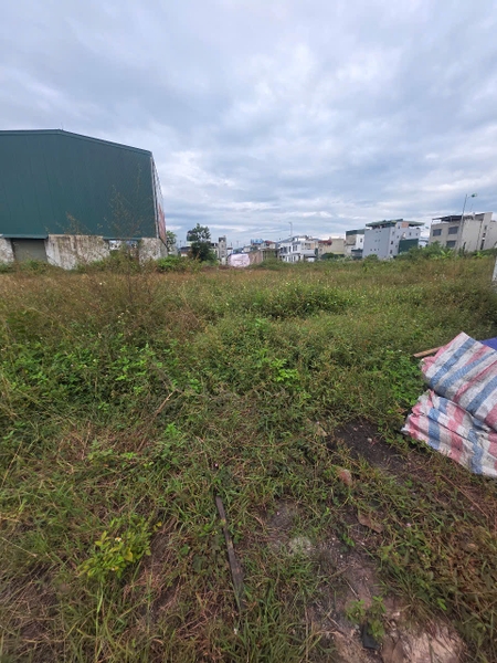 A568 - ô 36. A6 - QH Hoa nhàn C - Bí trung 1 - Phương Đông