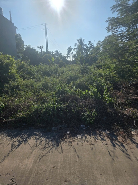 A595 - ô số 10 - QH Trung tâm thương mại cầu sến - Bí Trung 1 - Phương Đông