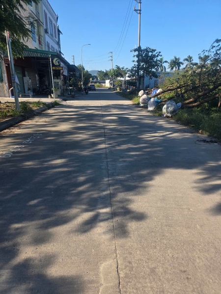 A595 - ô số 10 - QH Trung tâm thương mại cầu sến - Bí Trung 1 - Phương Đông