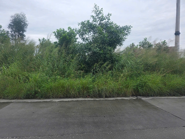 A599 A600 - đất mặt tiền kinh doanh - khu 10 - Thanh Sơn