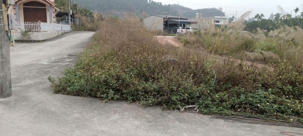 A654 - Tân Lập 2 - Phương Đông