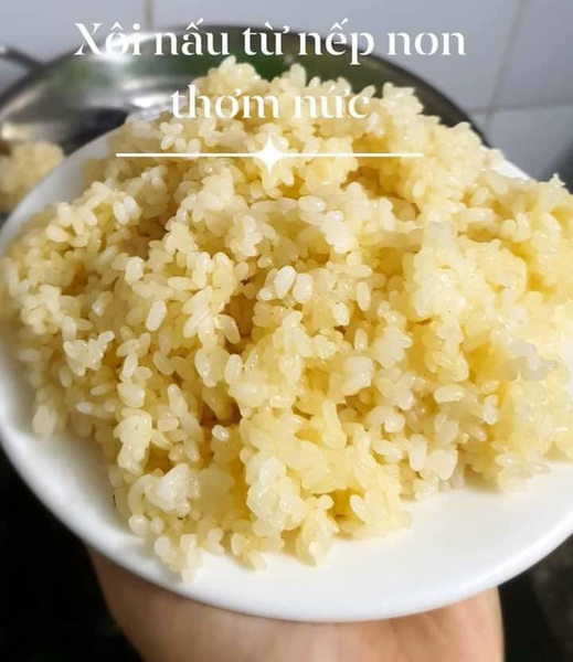 Gạo nếp Khẩu Hang đặc sản Sơn La (1kg)
