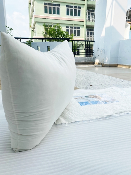 Ruột gối Nhật 50X70CMX15CM
