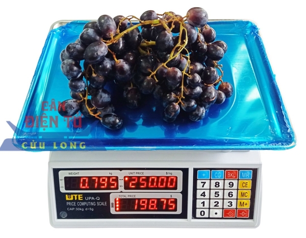 can-die-n-tu-ti-nh-tie-n-upa-30kg