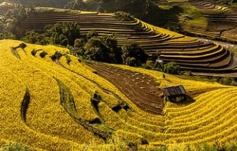 Mù Cang Chải: Vẻ đẹp say lòng du khách giữa núi rừng Tây Bắc