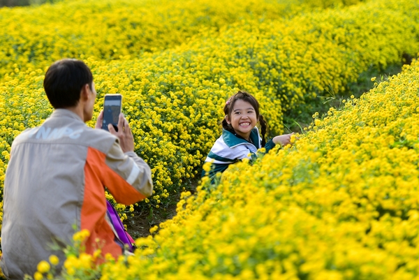 📸 TOP 10 GÓC CHECK-IN "TRIỆU LIKE" TRONG HÀNH TRÌNH CỬA LÒ – NAM ĐÀN – THANH CHƯƠNG
