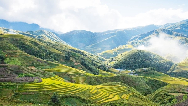 Tour du lịch Sapa khởi hành từ Nghệ An, Hà Tĩnh