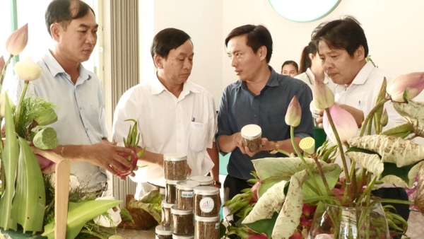 Đức Linh: Ra mắt Hợp tác xã sản xuất thương mại dịch vụ Sen Núi