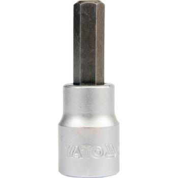 Đầu tuýp mũi vít đầu Lục giác 3/8