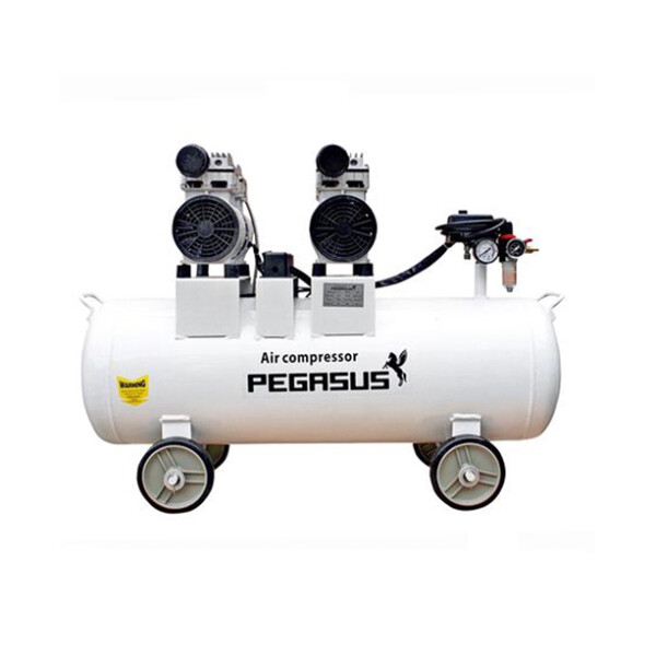 Máy nén khí không dầu Pegasus TM-OF750x2-70L