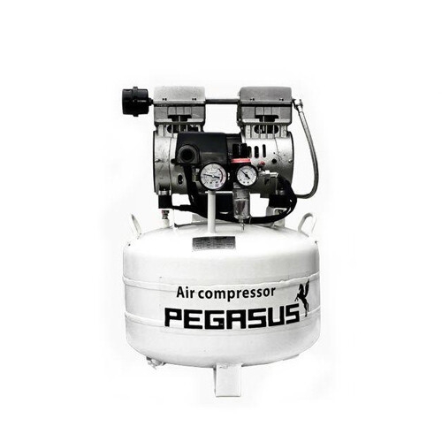 Máy nén khí không dầu Pegasus TM-OF550-40L