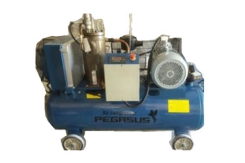 Máy nén khí trục vít Pegasus TMTV-10A