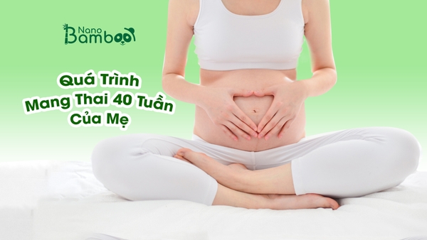 Quá Trình Mang Thai 40 Tuần Kì Diệu Của Mẹ