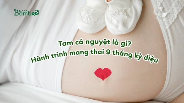 Tam cá nguyệt là gì? Hành trình mang thai 9 tháng kỳ diệu
