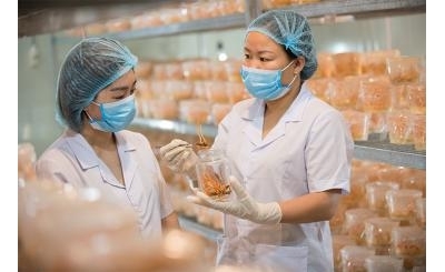 [VNEXPRESS] ĐÔNG TRÙNG HẠ THẢO THIÊN PHÚC ĐẠT TIÊU CHUẨN GACP-WHO