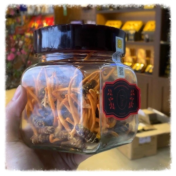 Đông Trùng Hạ Thảo Nguyên Con Tươi 100gr