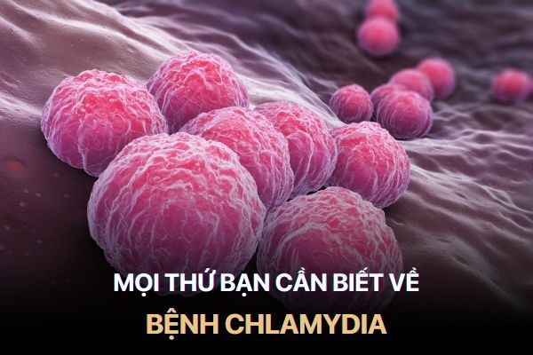 Bệnh Chlamydia Có Nguy Hiểm Không? Cách Điều Trị Và Phòng Ngừa Hiệu Quả
