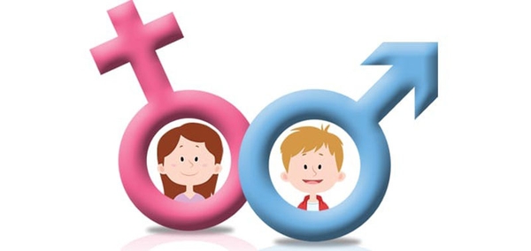 Giáo Dục Giới Tính Cho Trẻ Có Quan Trọng Không? Những Điều Cha Mẹ Cần Lưu Ý