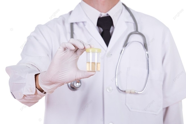 Đái Ra Tinh Trùng Là Bệnh Gì? Nguyên Nhân, Cách Điều Trị Và Phòng Ngừa Hiệu Quả