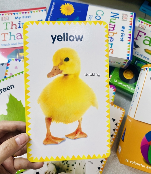 THẺ DK - PICTURE CARDS