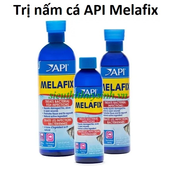 tri-nam-ca-api-melafix