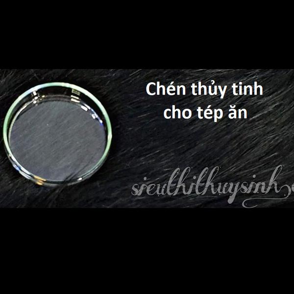 chen-thuy-tinh-cho-tep-an