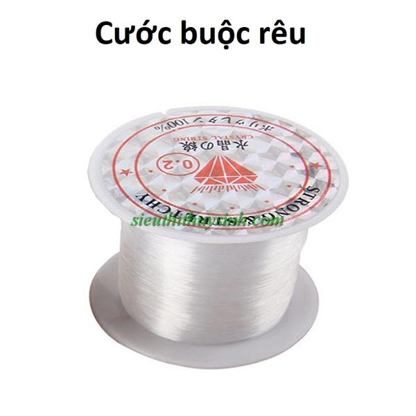 cuoc-buoc-reu