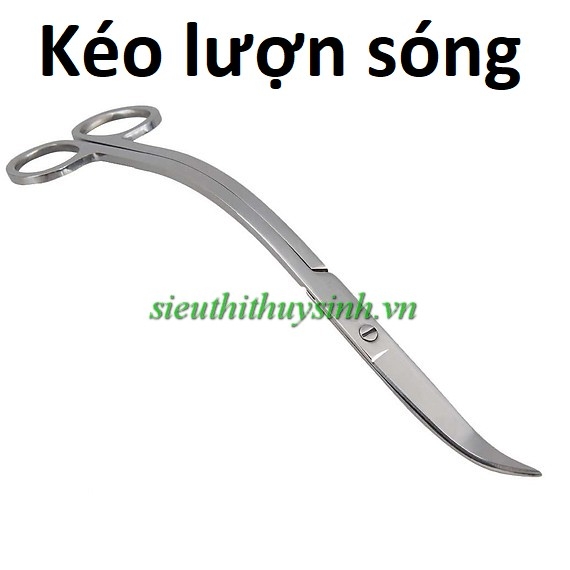 keo-luon-song-trang
