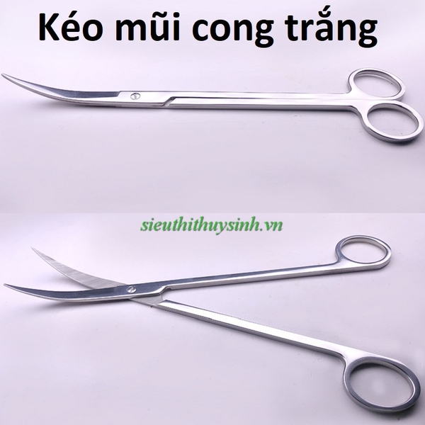 keo-mui-cong-trang