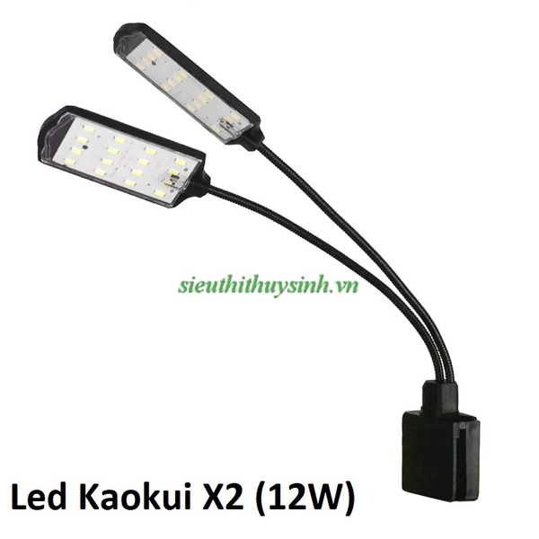 led-kaokui-x2-12w