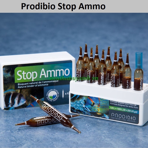 khu-doc-nuoc-prodibio-stop-ammo-1-ong-thuy-tinh