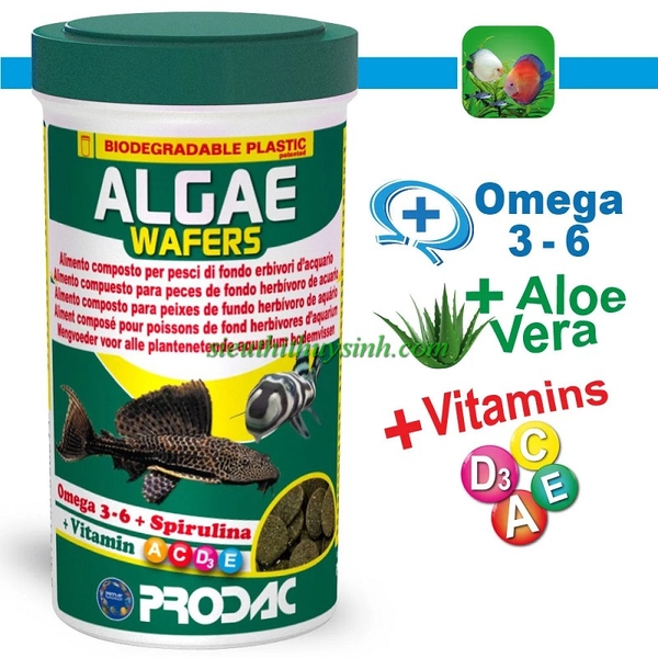 prodac-algae-wafers-thuc-an-pleco-chuot-giau-tao