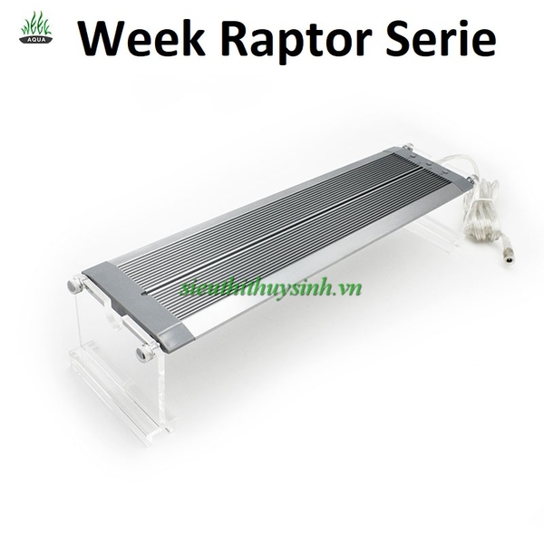 den-led-week-raptor-wrgb-v-serie