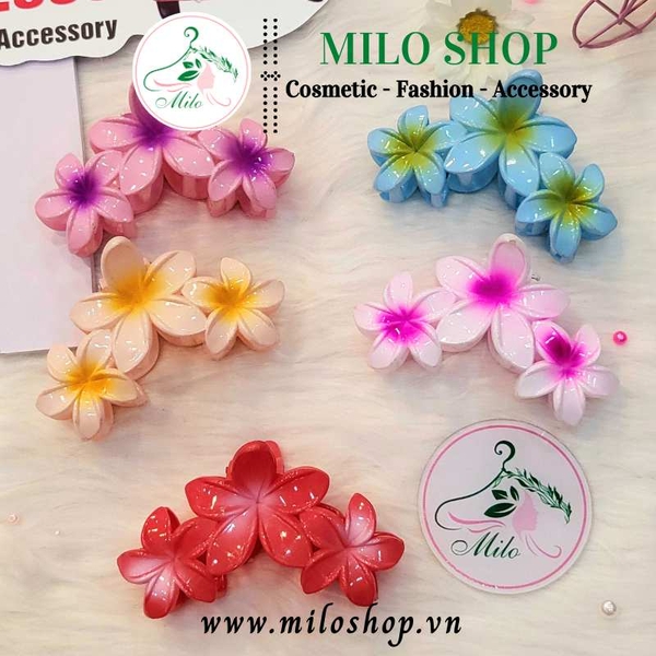 Kẹp tóc 3 bông hoa sứ nhiều màu