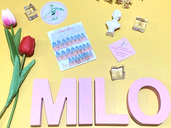 Set 24 móng giả nhiều họa tiết