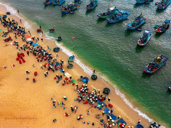 TOUR DU LỊCH QUẢNG BÌNH 4 NGÀY 3 ĐÊM TRỌN GÓI: PHONG NHA KẺ BÀNG – BIỂN NHẬT LỆ – SUỐI NƯỚC MOỌC – VŨNG CHÙA