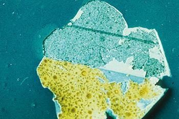 SƠN BỊ MẤT ĐỘ BÁM DÍNH (LOSS OF ADHESION)