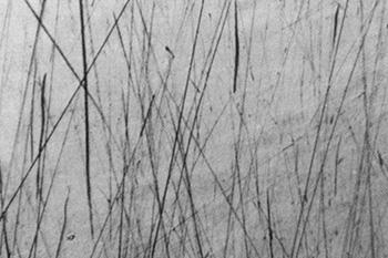 LỖI XƯỚC SƠN TỪ BÀN CHẢI RỬA XE (SCRATCHES FROM CAR WASH BRUSHES)