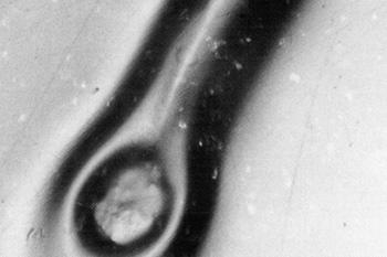 LỖI DO SƠN QUÁ NHIỀU (OVERSPRAY)