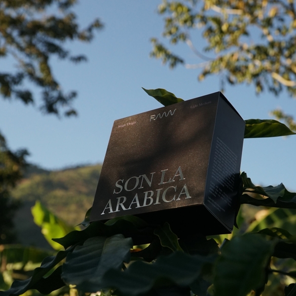 Sơn La Arabica