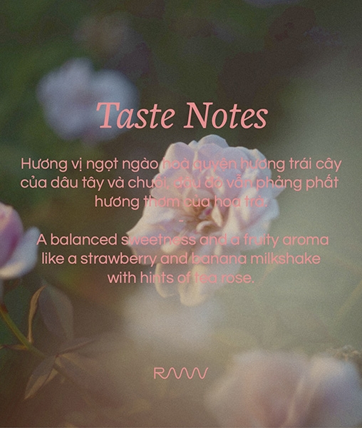 Đà Lạt Honey Typica