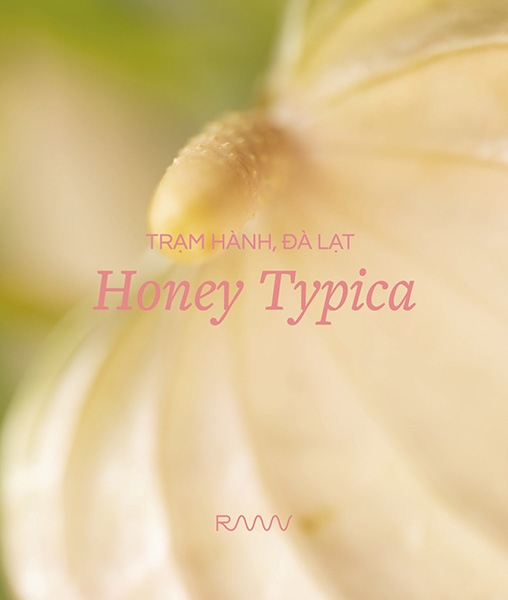 Đà Lạt Honey Typica