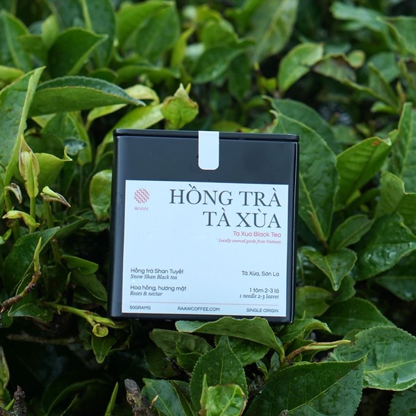 Hồng Trà Shan Tuyết