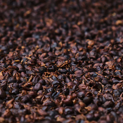 Trà Cascara