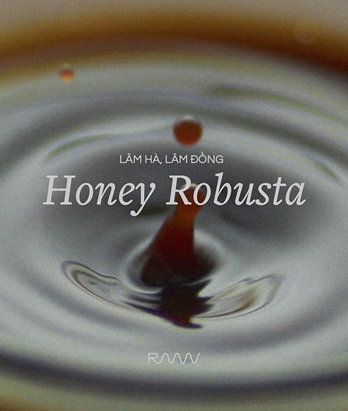 Lâm Hà Robusta