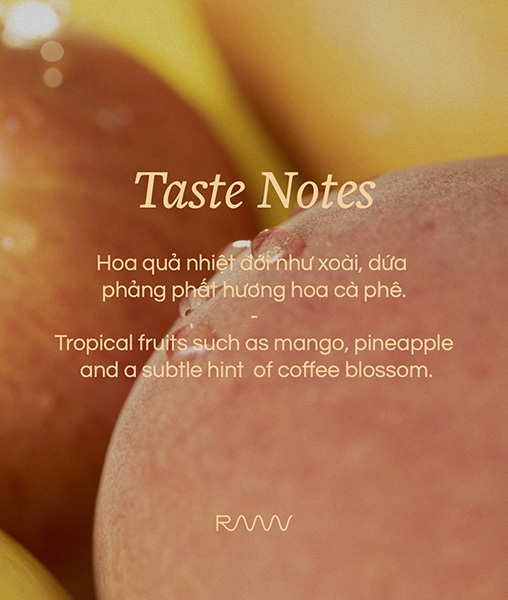 Đà Lạt Natural Bourbon