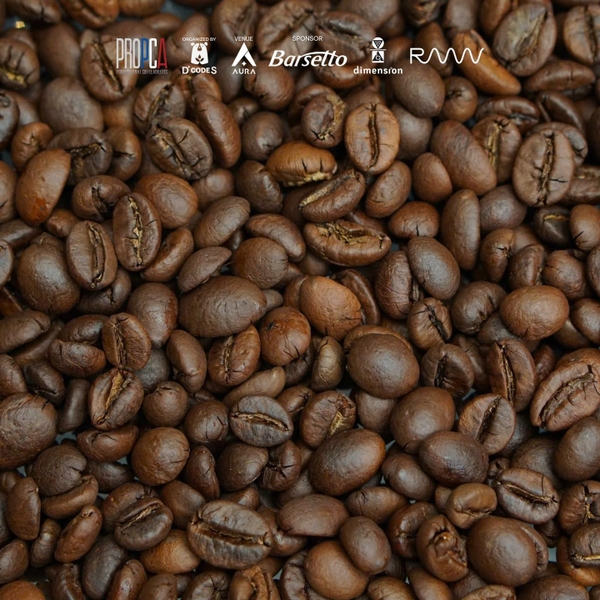 Bold As Love (PCA Latte Art Vietnam 2025)