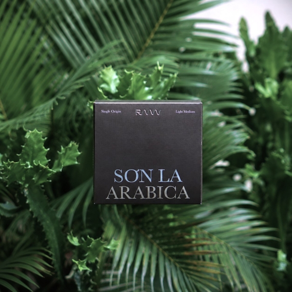 Sơn La Arabica