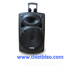 CHO THUÊ LOA KÉO 300W